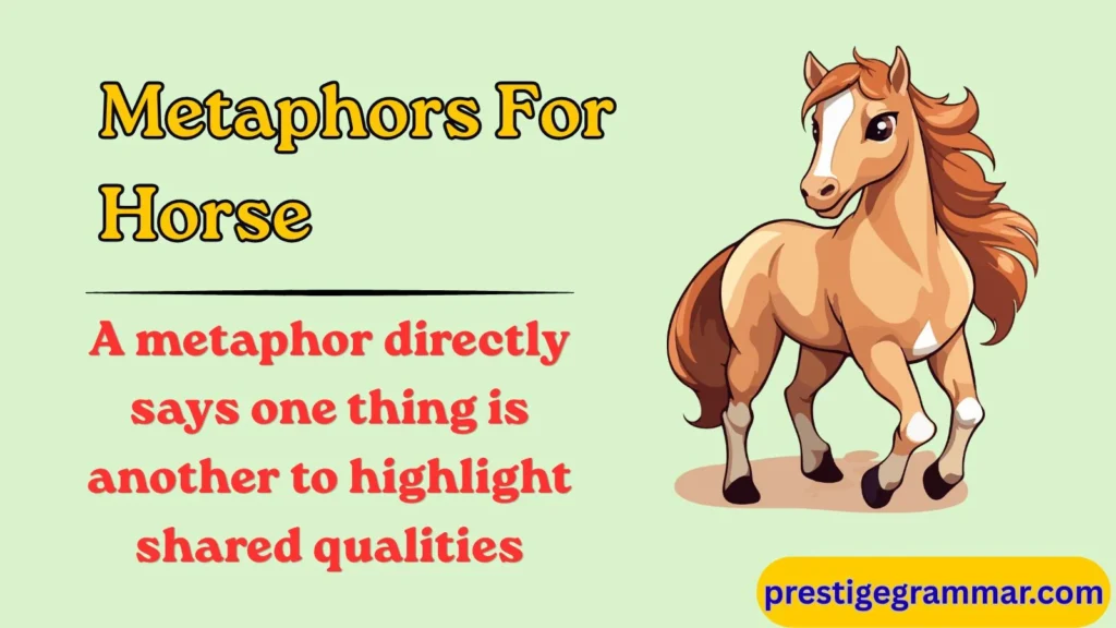 What Is a Horse Metaphor