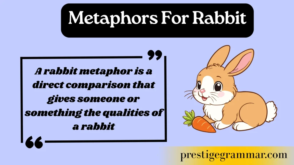 What Is a Rabbit Metaphor