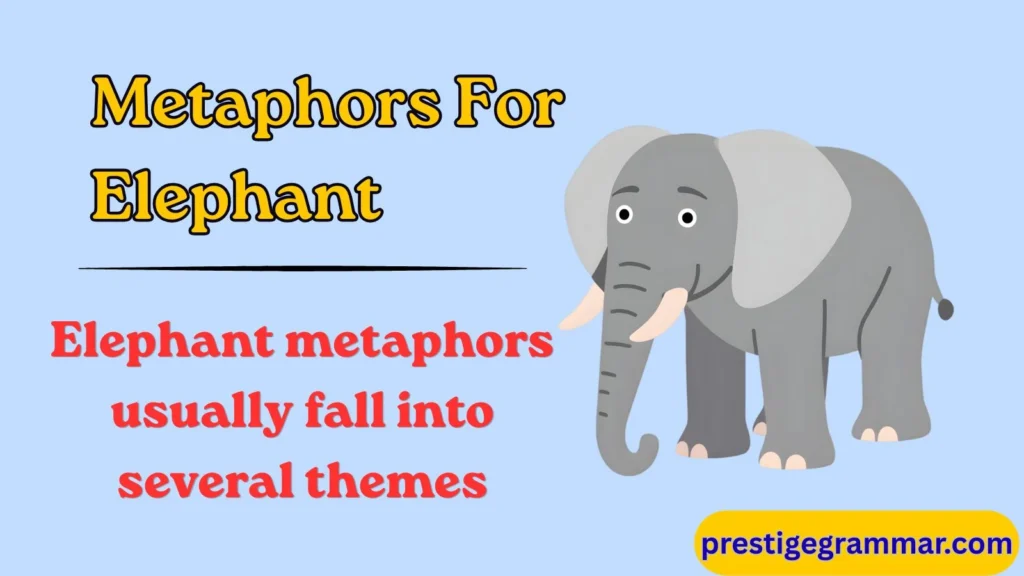 Categories of Elephant Metaphors