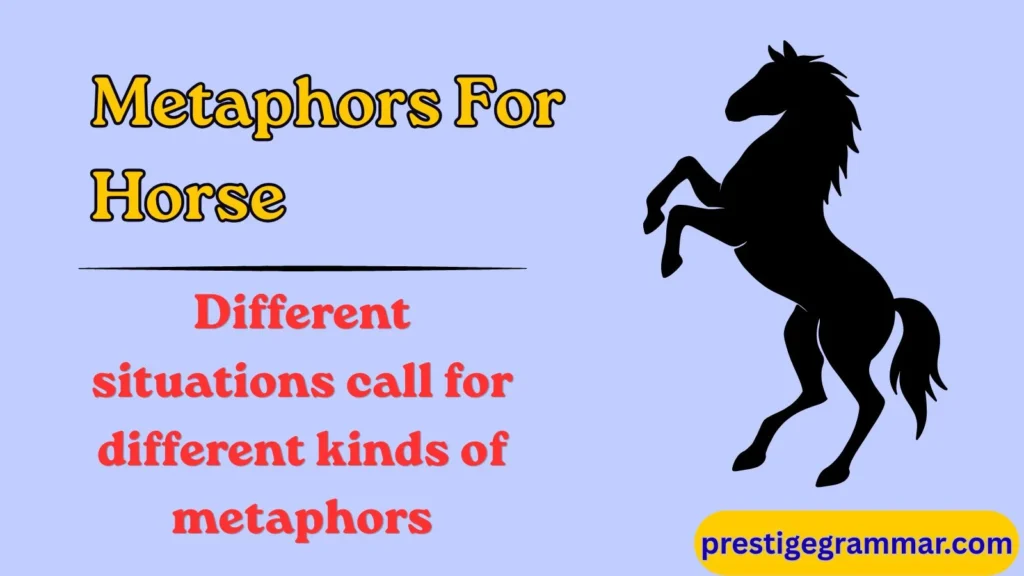 Categories of Horse Metaphors