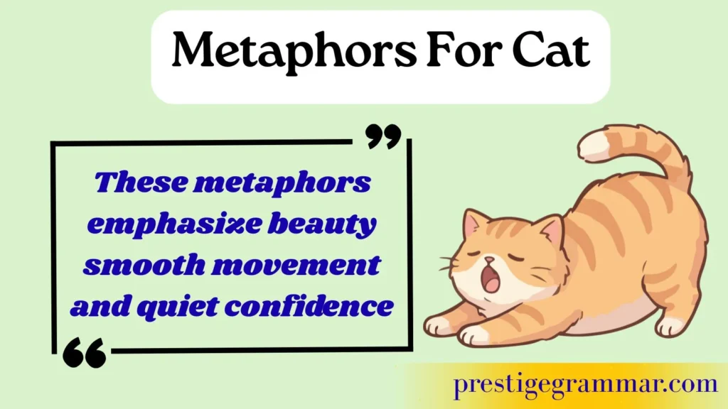 Graceful and Elegant Cat Metaphors