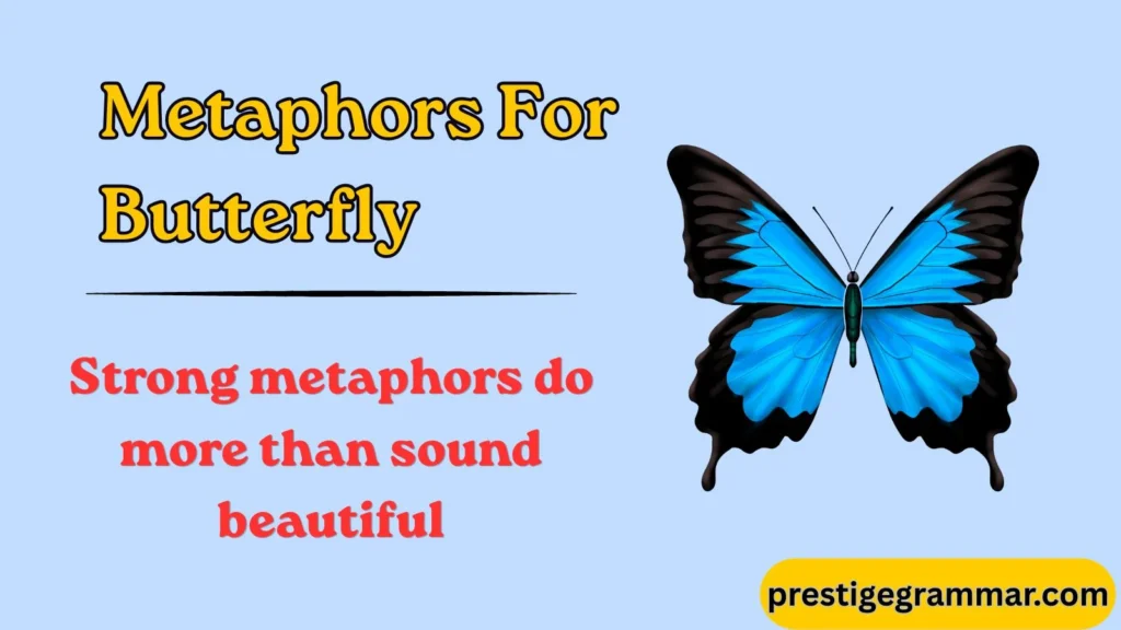 How to Use Butterfly Metaphors in Writing