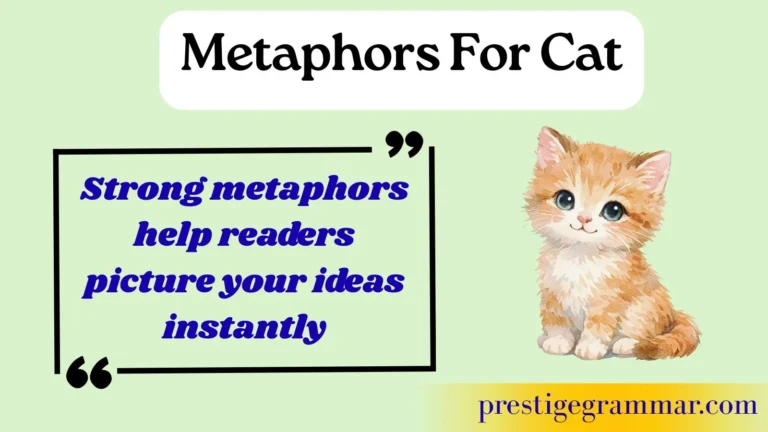metaphors for cat