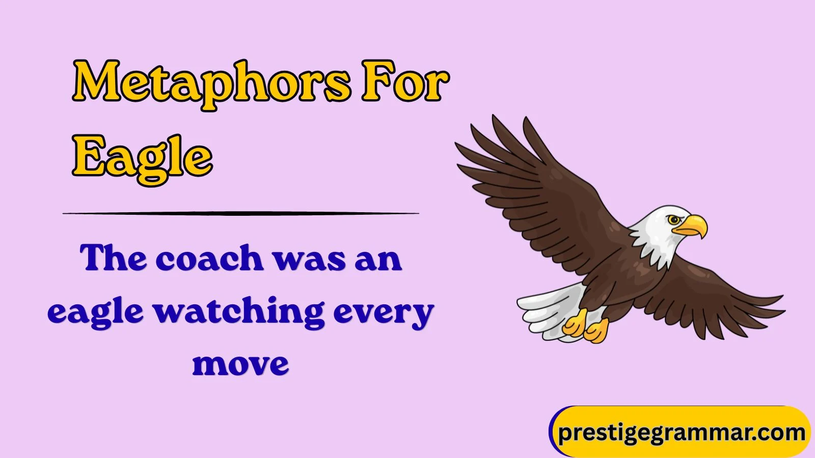 metaphors for eagle