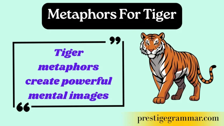 metaphors for tiger