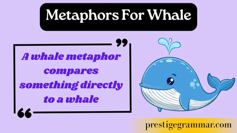 Metaphors for Whale