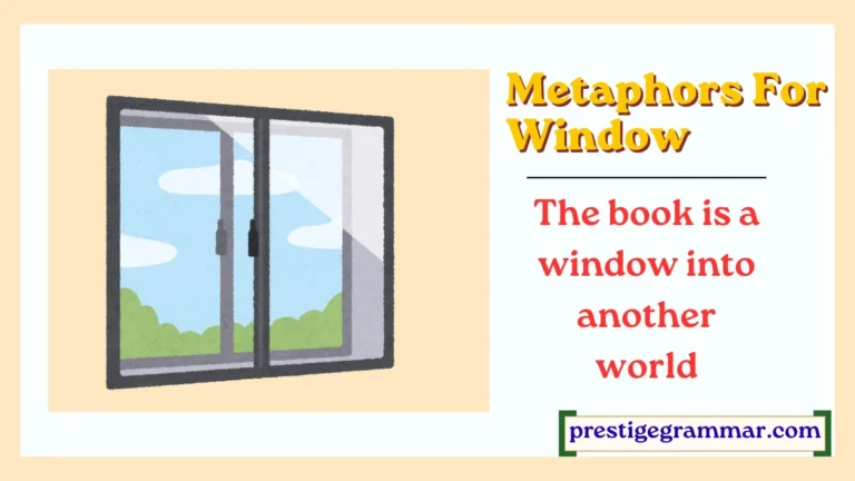 Metaphors for Window