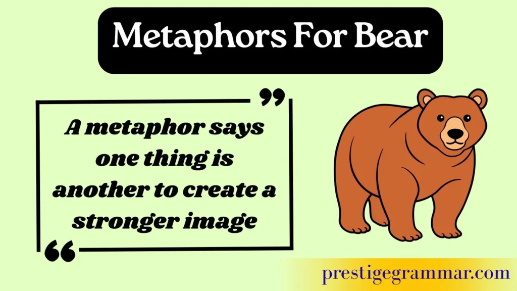 Understanding Bear Metaphors