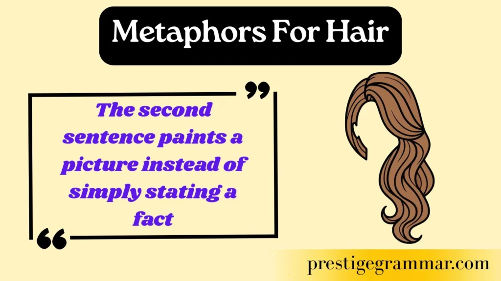 Understanding Metaphors for Hair