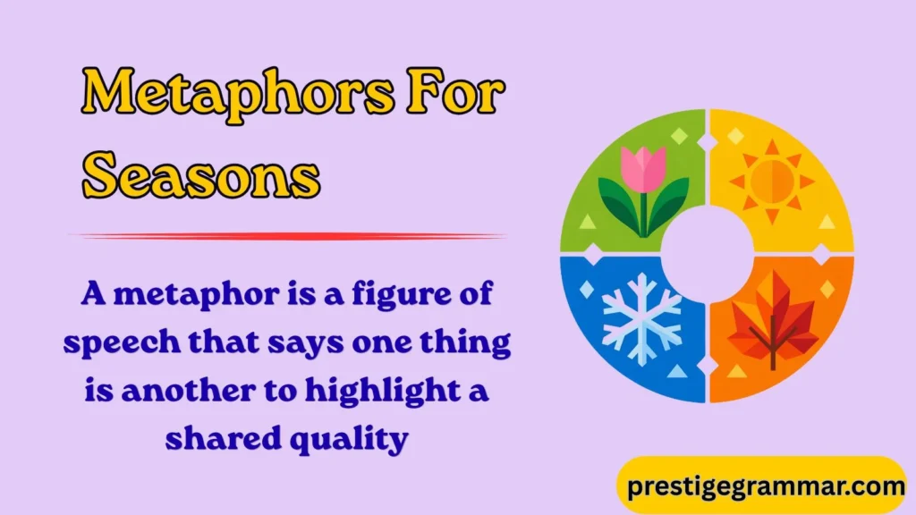 Understanding Season Metaphors