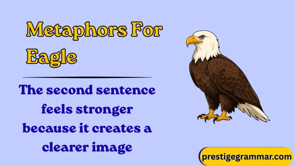 What Are Eagle Metaphors