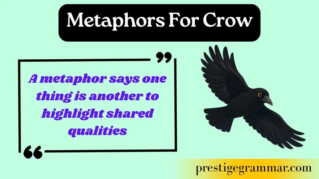 What Are Metaphors for Crow