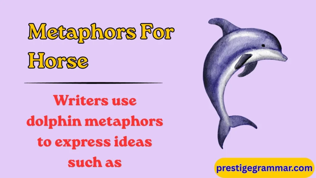 What Are Metaphors for Dolphin