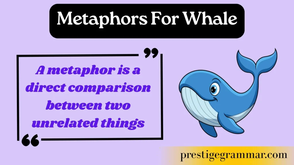 What Are Metaphors for Whale
