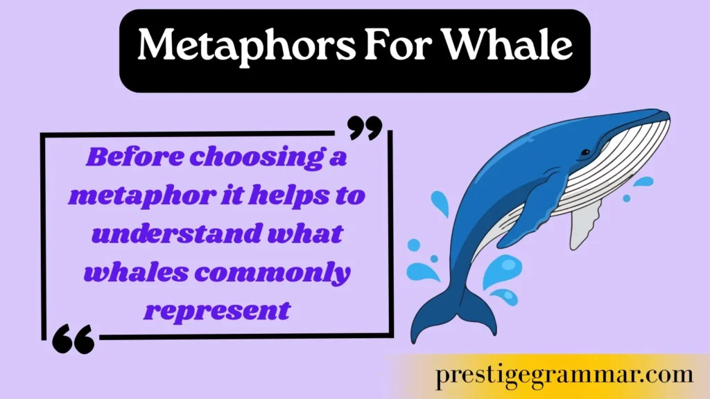 What Does a Whale Symbolize