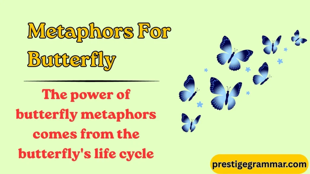What Is a Butterfly Metaphor