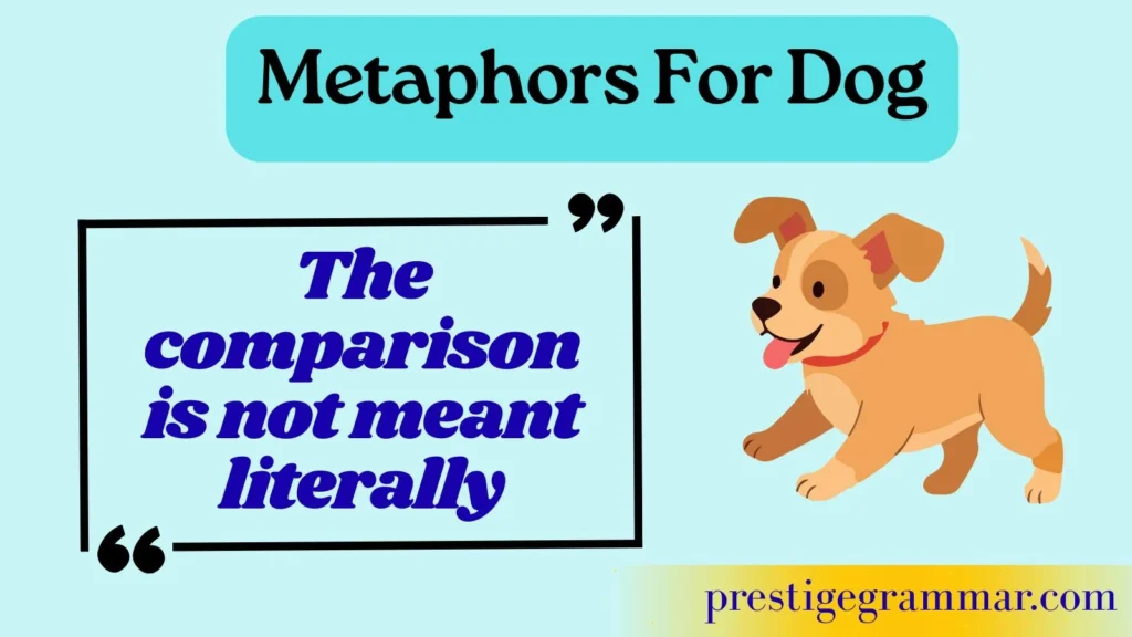 What Is a Dog Metaphor