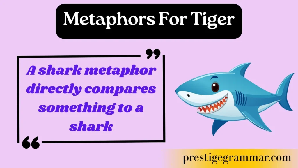 What Is a Shark Metaphor