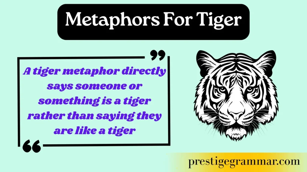 What Is a Tiger Metaphor