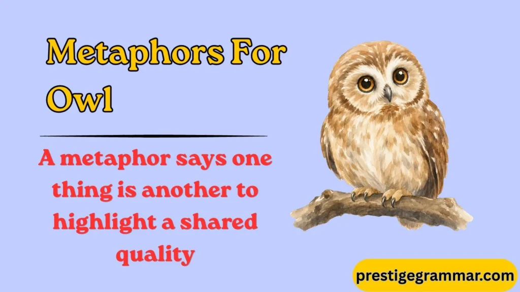 What Is an Owl Metaphor