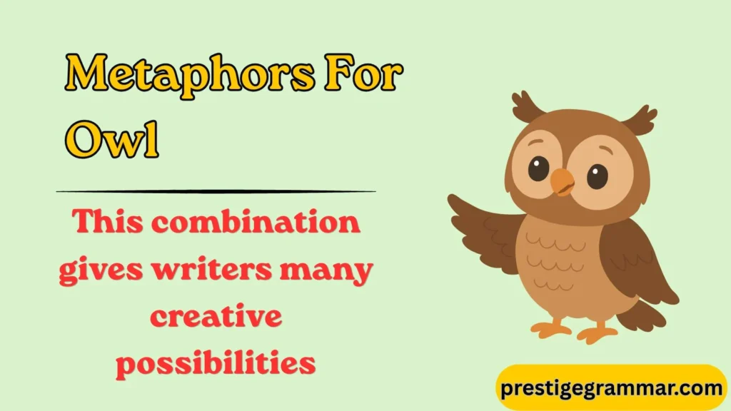 Why Do Writers Use Owl Metaphors