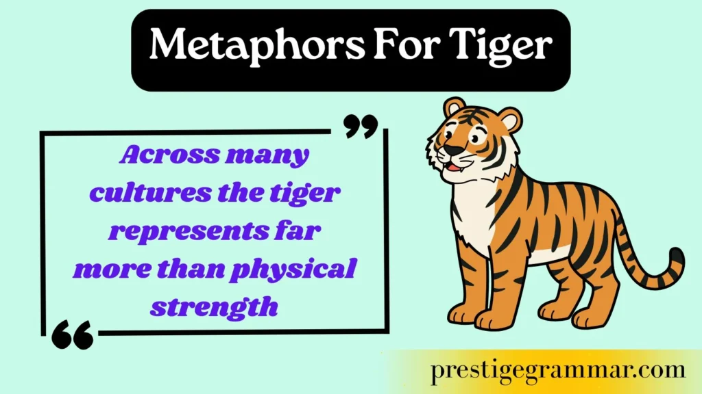 Why Is the Tiger Such a Powerful Symbol