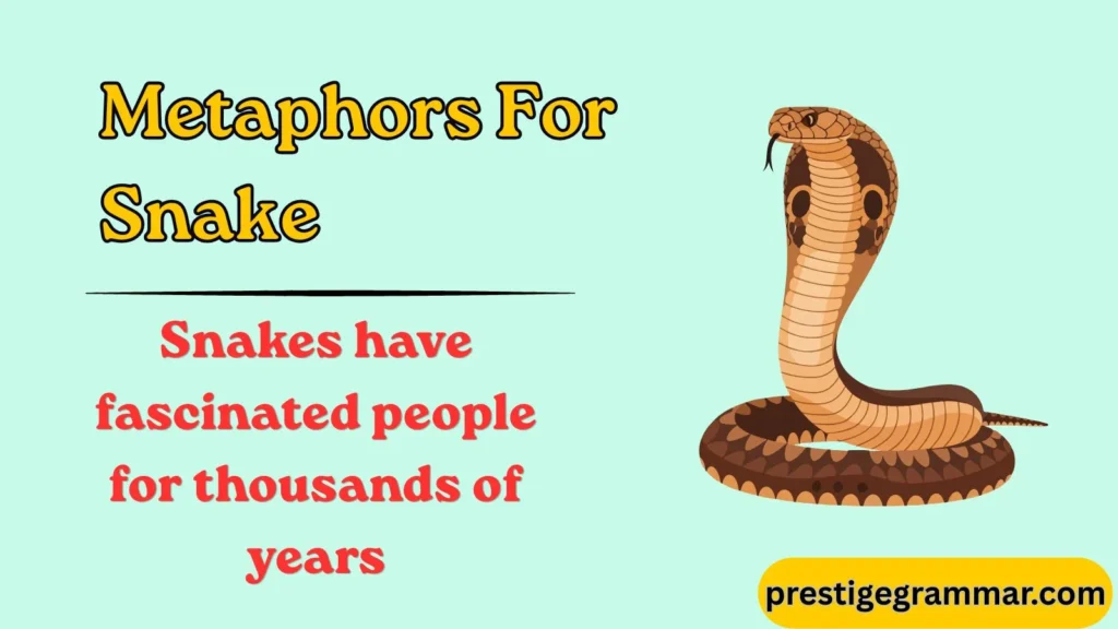 Why Snakes Make Powerful Metaphors