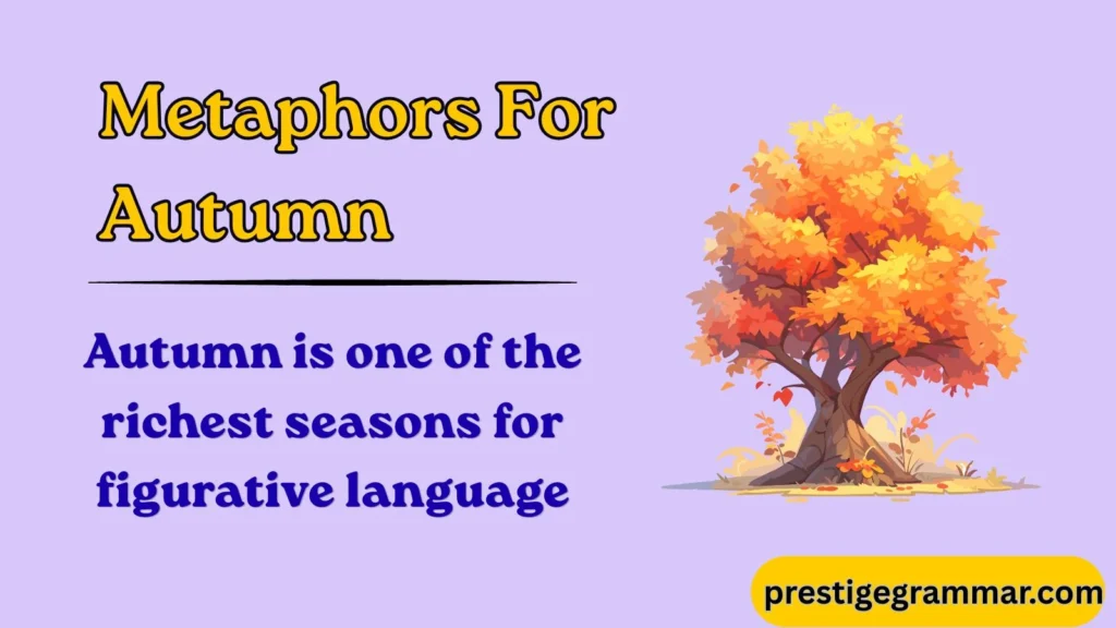 Why Writers Love Autumn Metaphors