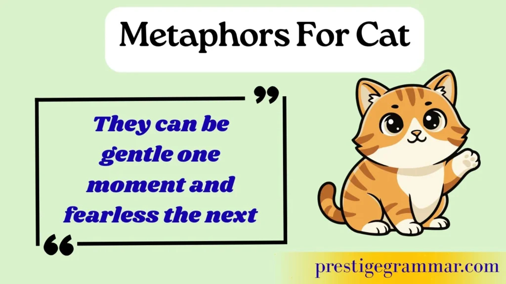 Why Writers Use Cat Metaphors