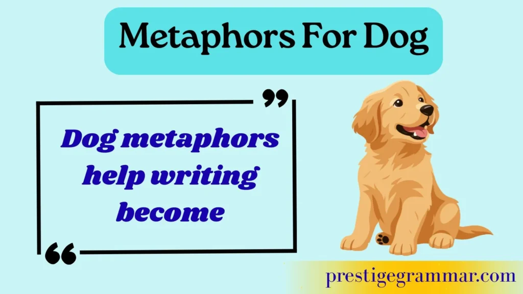 Why Writers Use Dog Metaphors