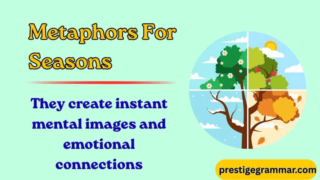 Why Writers Use Metaphors for Seasons