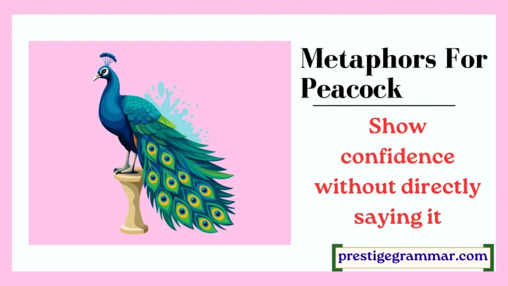 Why Writers Use Peacock Metaphors