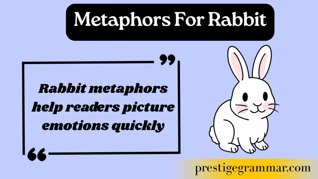 Why Writers Use Rabbit Metaphors