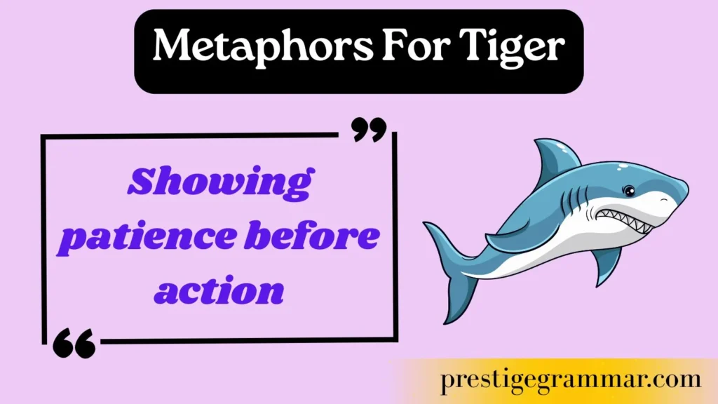 Why Writers Use Shark Metaphors